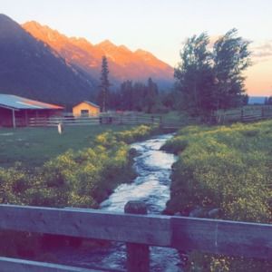 Meet your Posher, Brooke